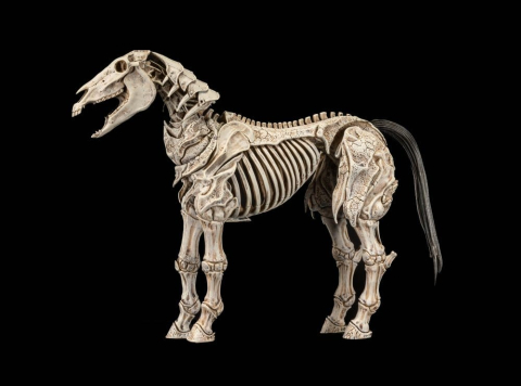 PRECOMENZI - Mythic Legions: Reinforcement 3 Action Figure Skeleton Steed Legion Builder