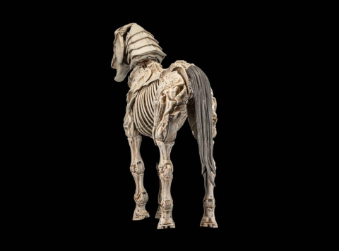 Mythic Legions: Reinforcement 3 Action Figure Skeleton Steed Legion Builder [1]