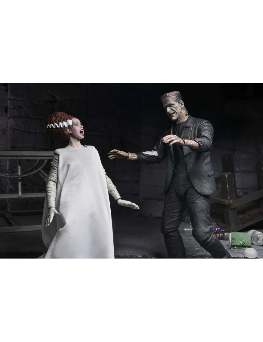 NECA Universal Monsters Ultimate Bride of Frankenstein 2-Pack [4]