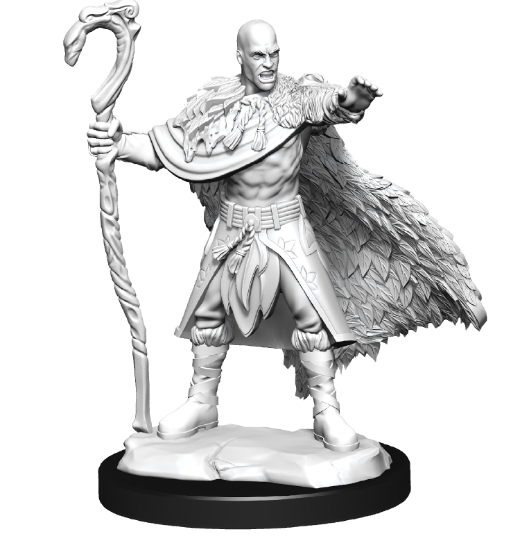 Noutati - Nolzur's Marvelous Miniatures Male Human Druid