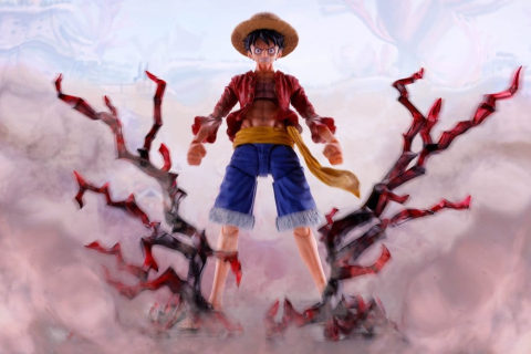 One Piece S.H.Figuarts Accessory Set Monkey D. Luffy -Two Years Later- Option Parts Set [1]