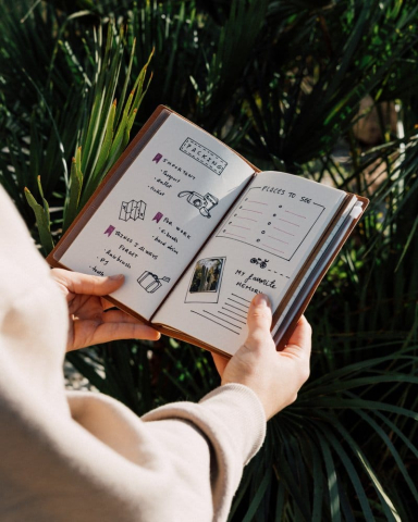 One Piece Travel Journal 20 cm [4]