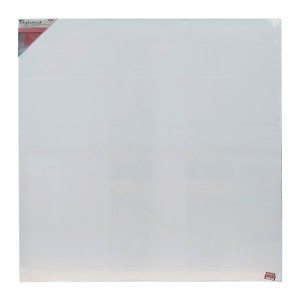 Rechizite, Creativitate, Hobby - PANZA PICTURA PE SASIU 100X100 CM DACO PZ100100