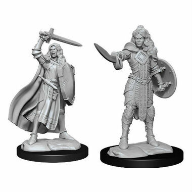 Figurine - Pathfinder Deepcuts: Human Champion Female