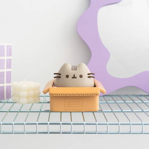 Pusheen Piggy Bank [3]