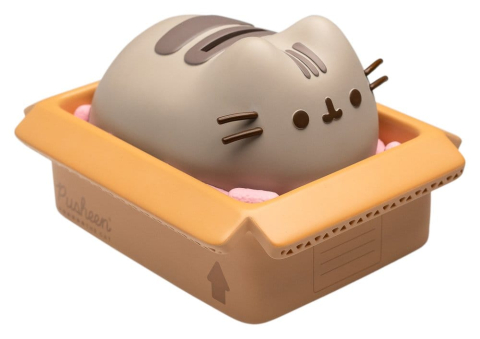 PRECOMENZI - Pusheen Piggy Bank