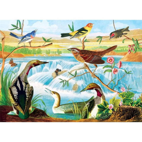 Puzzle 1000 piese Audubon Harmony of Birds & Stream [1]