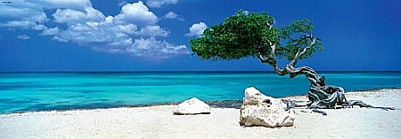 Puzzle 1000 piese Divi Divi Tree Heye 29399 [1]
