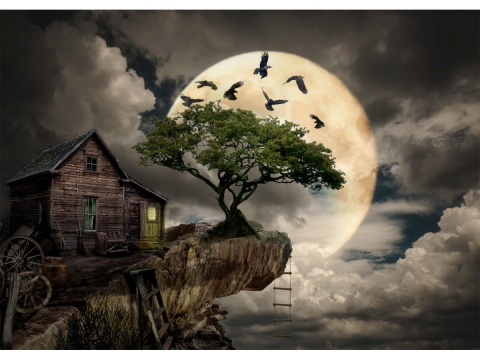 Puzzle 1000 piese Enjoy – A Log Cabin on a Cliff [1]