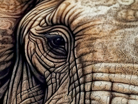 Puzzle 1000 piese Enjoy – Ancestral Patterns [4]