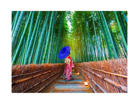 Puzzle 1000 piese Enjoy – Asian Woman in Bamboo Forest [1]