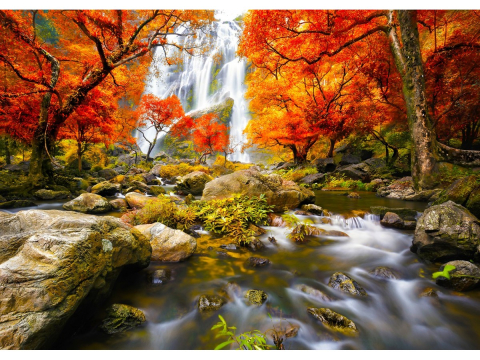 Puzzle 1000 piese Enjoy – Autumn Waterfall [1]