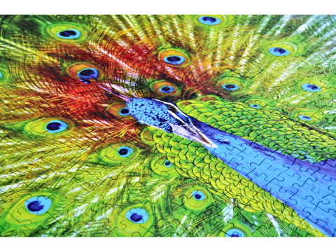 Puzzle 1000 piese Enjoy – Colorful Peacock [3]