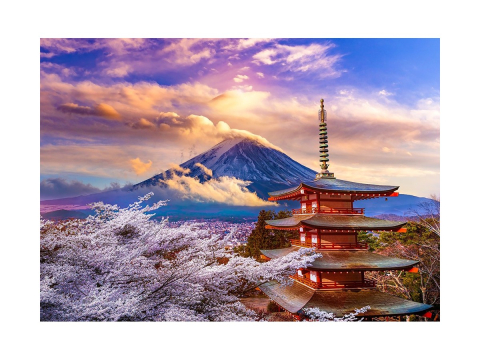 Puzzle 1000 piese Enjoy – Fuji Mountain in Spring, Japan [1]