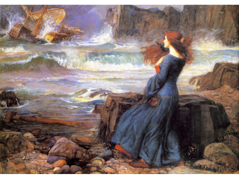 Puzzle 1000 piese Enjoy – John William Waterhouse: Miranda in The Tempest [1]