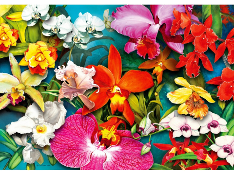 Puzzle 1000 piese Enjoy – Orchid Jungle [1]