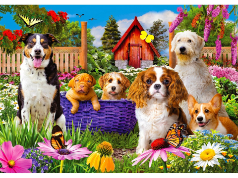 Puzzle 1000 piese Enjoy – Puppy Patch [1]