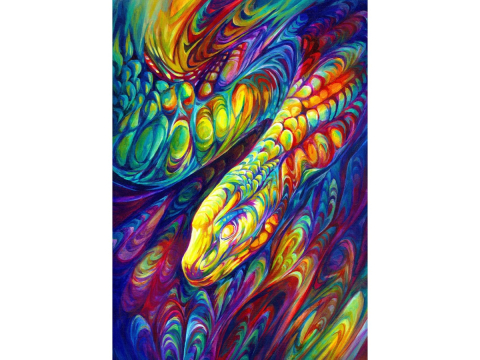 Puzzle 1000 piese Enjoy – Rainbow Snake [1]