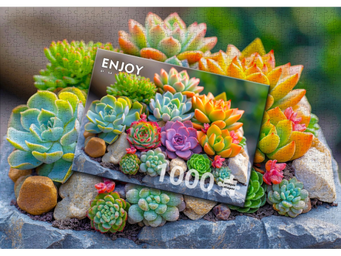 Puzzle 1000 piese Enjoy – Succulents [3]