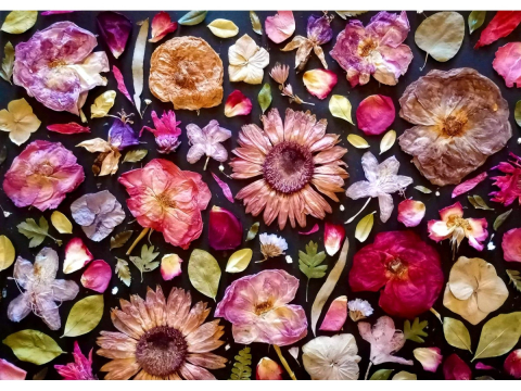 Puzzle 1000 piese Enjoy – Think Pink [1]