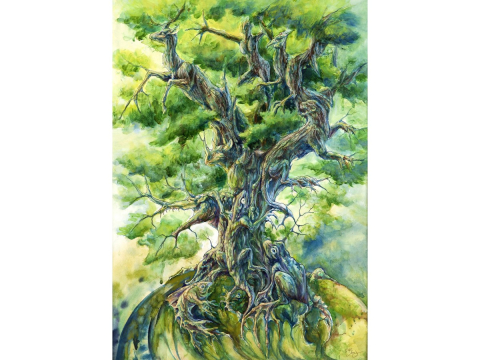 Puzzle 1000 piese Enjoy – Tree of Life [1]