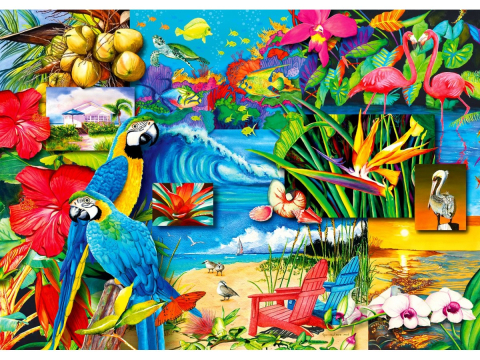 Puzzle 1000 piese Enjoy – Tropical Treasures [1]