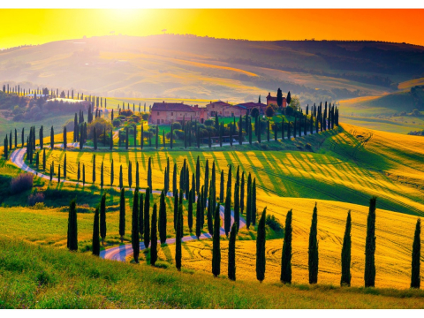 Puzzle 1000 piese Enjoy – Tuscany Sunset [1]