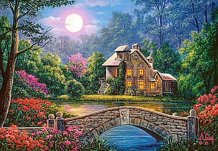Puzzle 1000 piese Gradina in bataia Lunii 104208 [1]