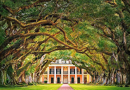 Puzzle 1000 piese Oak Alley Plantation 104383 [1]