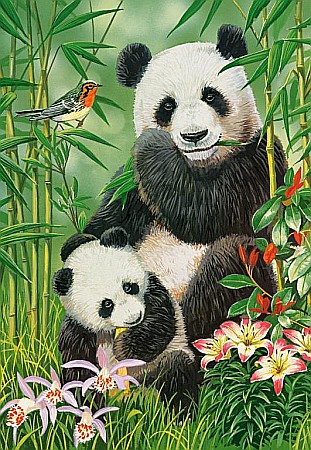 Puzzle 1000 piese Panda Brunch Castorland 104987 [1]
