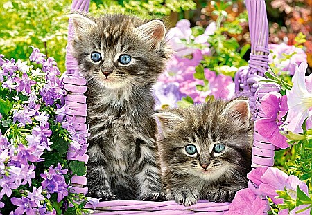 Puzzle 1000 piese Pisicute in Gradina 104086 [1]