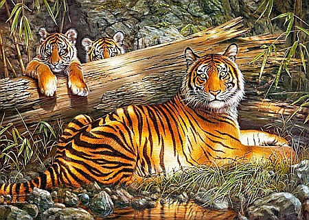 Puzzle 1000 piese Quiet Fire 30325 Cherry Pazzi [2]