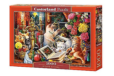 Puzzle 1000 piese - Puzzle 1000 piese Wizard Kittens 104857 Castorland
