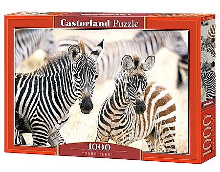 Puzzle 1000 piese - Puzzle 1000 piese Young Zebras 105021 Castorland