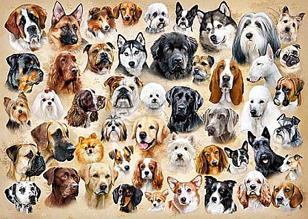 Puzzle 1500 piese Collage with Dogs Castorland 151943 [1]