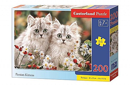 Puzzle cu 200 piese - Puzzle 200 piese Persian Kittens 222131