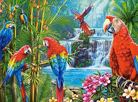 Puzzle 2000 piese Parrot Meeting 200870 Castorland [1]