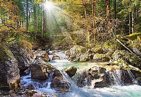 Puzzle 2000 piese - Puzzle 2000 piese Sunny forest stream 200382