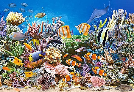 Puzzle 260 piese - Puzzle 260 piese Colour of the Ocean 27279