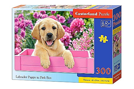 Puzzle 300 piese - Puzzle 300 piese Labrador Puppy in Pink Box 30071