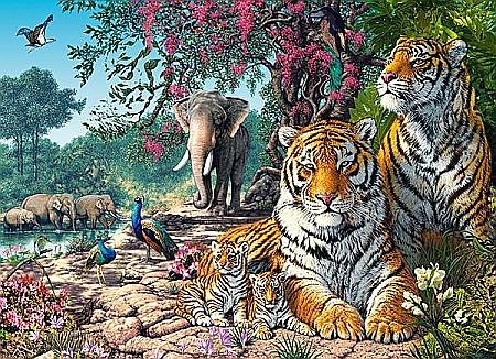 Puzzle 300 piese Tiger Sanctuary Castorland 30484 [1]