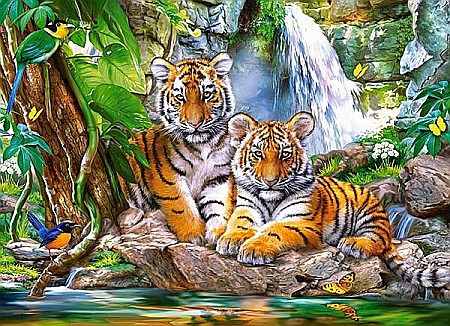 Puzzle 300 piese Tigrisori la Cascada 30385 [1]