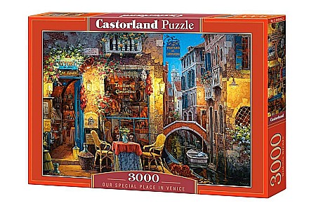 Puzzle 3000 piese - Puzzle 3000 piese Our special place in Venice 300426