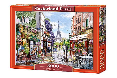 Puzzle - Puzzle 3000 piese Paris 300525