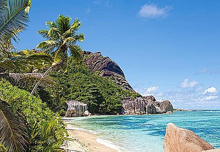 Puzzle 3000 piese - Puzzle 3000 piese Tropical Beach Seychelles 300228