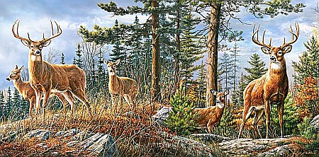 Puzzle 4000 piese Royal Deer Family Castorland 400317 [1]