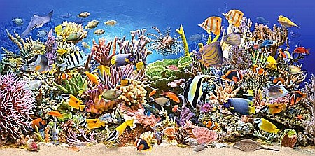Puzzle 4000 piese - Puzzle 4000 piese Underwater life 400089