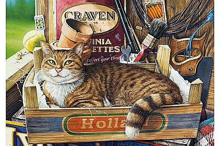 Puzzle 500 piese Fothergill 53476 [1]