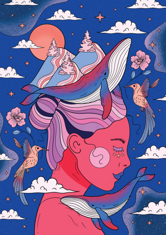 Puzzle 500 piese Hachette Rêve d’Ailleurs [1]