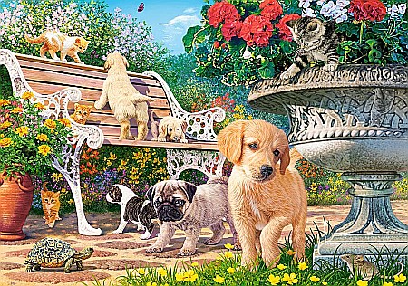 Puzzle 500 piese Hide and Seek Castorland 53636 [1]